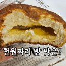 정항우 케익커피 대현점 | 정항우 케익제빵소 천원빵 종류 중 모카번 내돈내산 후기