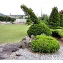 초정공인중개사사무소 이미지