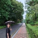 청학로92번길1 | 『경기 도립 &#34; 물 향기 수목원 &#34;』에 다녀온 후기