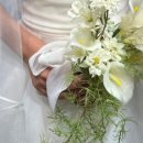 (주)투어인터불고 이미지
