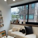 벌거벗은 고양이 이미지