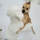 파라다이스유치원 이미지