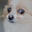 그림동화-호박귀신이 싫은 악마! 이미지