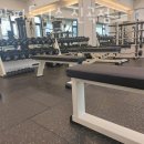 새말 피트니스 이미지