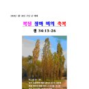 복된 장마비 - 7176 | 복된 장마비