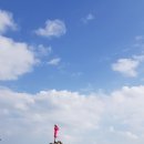 송도용궁구름다리 이미지