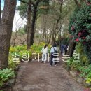 자연생활