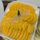 [행궁동] 행리단길 카페 추천, 분위기 좋고 망고빙수 맛있었던 딩동 행궁본점 내돈내산 후기