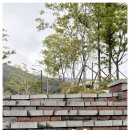 다우리유치원 이미지