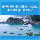 바다날개