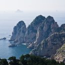 동아무도장 이미지