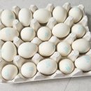 지금평사농장 이미지