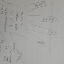 몽탄초등학교 이미지