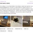 펫더헤븐 | 부산 고양이 장례식장 추천 2곳, 비용·절차·후기까지 한 번에 비교
