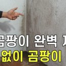 매직청소TV 이미지