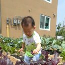 예린농장 Daum카페