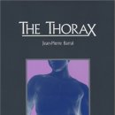 The Thorax 이미지