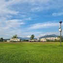 대저캠핑장 이미지