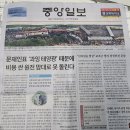 6월 5일 중앙일보 1면 &amp; SBS 모닝와이드