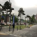 원조평양족발 이미지