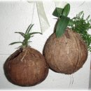 즐거운 클래식 기타 이미지