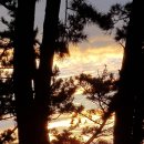 뜰아래솔바다 이미지