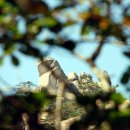 노적봉길 이미지