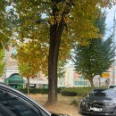 용주어린이공원 이미지