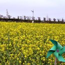 강서체육공원 이미지