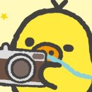유안 이미지