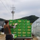 건태농장 이미지