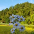 풀앤밸리 이미지