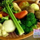 히포크라테스스프 이미지