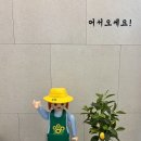 아이,집 | [부산 서면] 아이집 방문 후기 — 아이 셋, 엄마 셋 1박2일