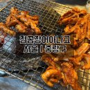 참곰장어