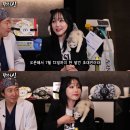 닭터