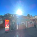 송이마을사슴농장 | 피나클랜드 수목원 축제 할인 맛집 동물 먹이주기 체험 아이랑 후기