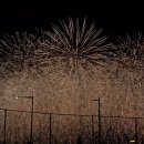 성촌식당 | 서울세계불꽃축제 2025 명당 타임라인 꿀팁