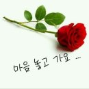 나노그람 이미지