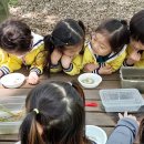 홀츠하임어린이집 이미지