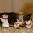 CATS TIME CAFE 이미지