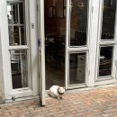 호스텔 오렌지트리 | 치앙마이 혼자 여행 4탄: 태국 클럽도 가고 재즈바도 가고 열심히 놀기