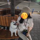 간식랜드 이미지