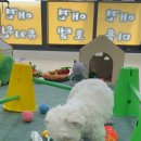 굿댕스쿨 이미지