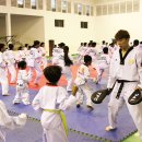 키다리 태권도 이미지