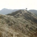 일렁이는 이미지