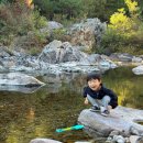 덕유파크 | 무주 반딧골 캠핑장 명당, 리모델링 전북 신생 캠핑장