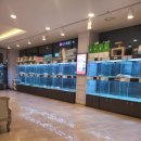 도그마루 강아지고양이 안산점 이미지