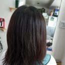 필헤어샵 - 포항시 남구 | 필헤어샵