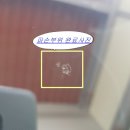 제이오토차유리 이미지